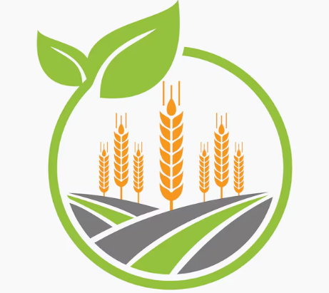 Agriculture illustration